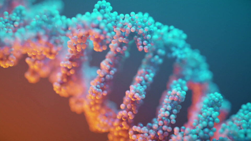 Polynucleotides